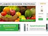 Intercesta ofertas del mes